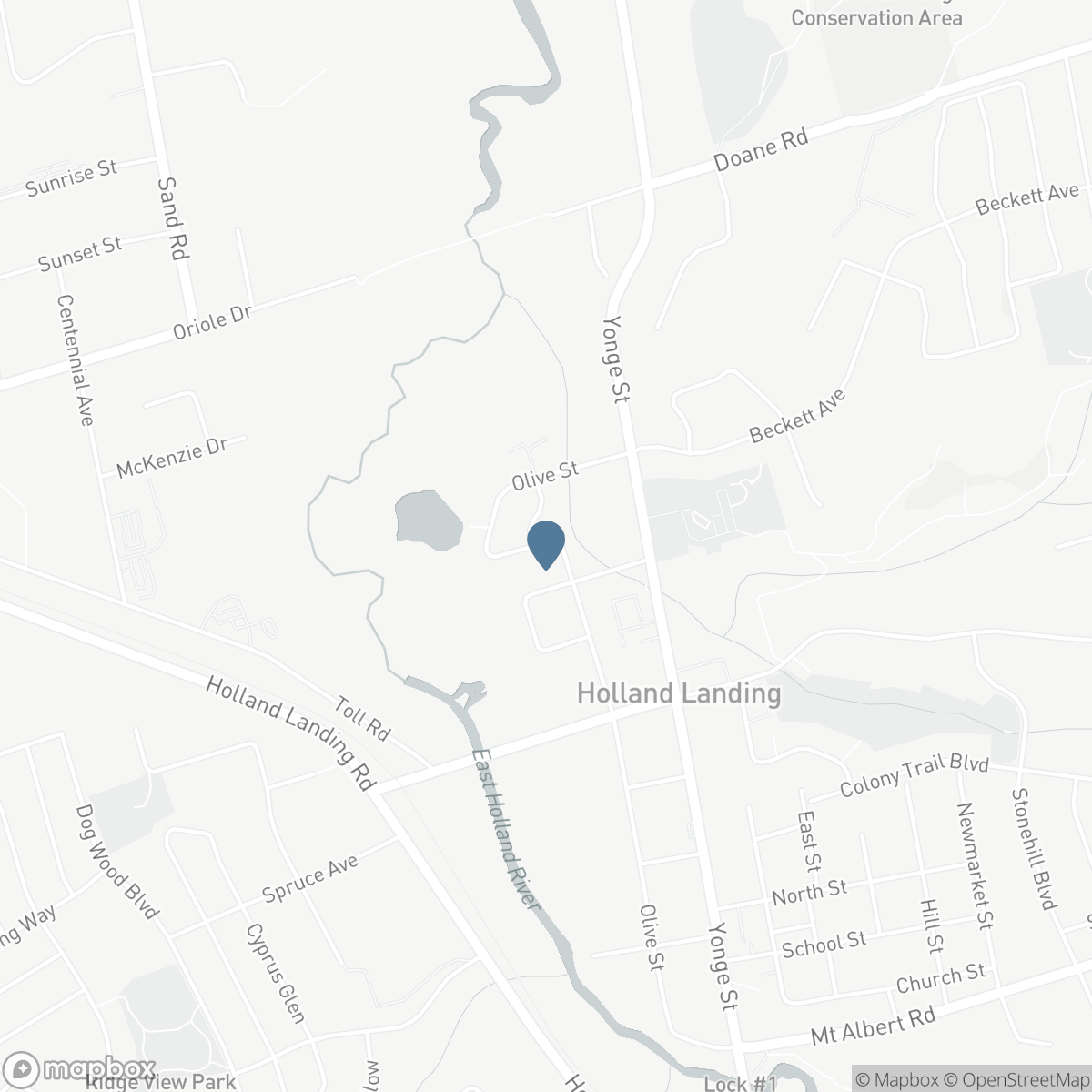 128 OLIVE STREET, East Gwillimbury, Ontario L9N 1M2